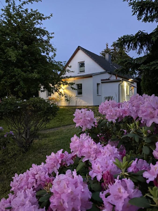 Gemuetliches Ferienhaus Spremberg Esterno foto